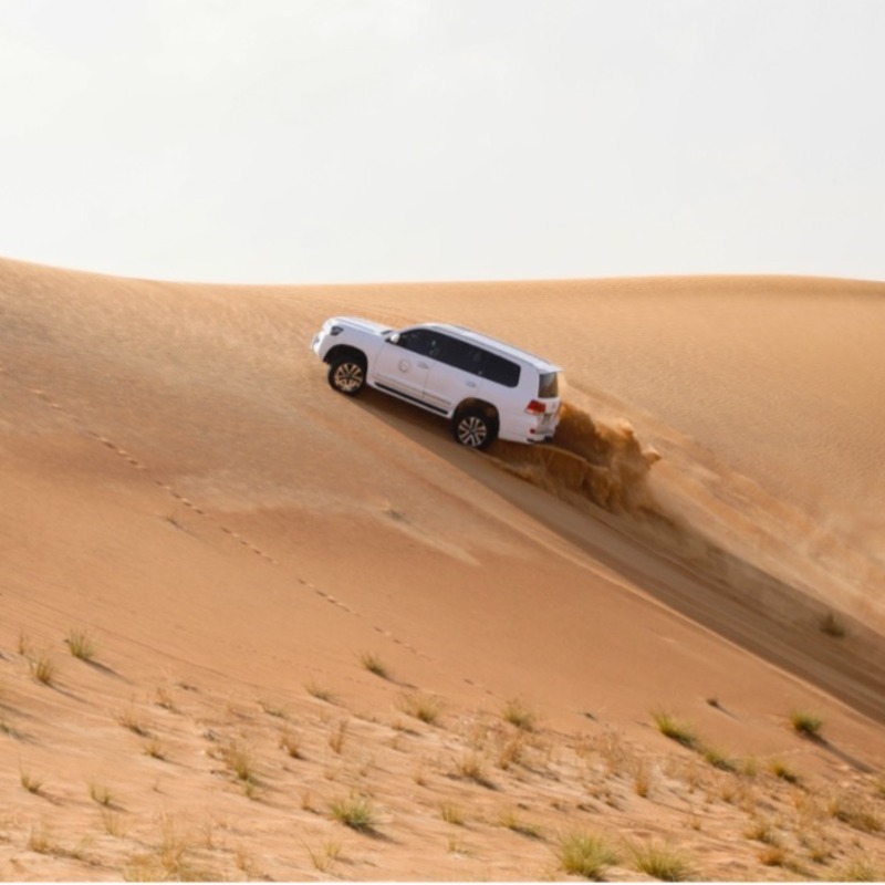 Fill your Adventure Cravings with some Desert Safari Fun!